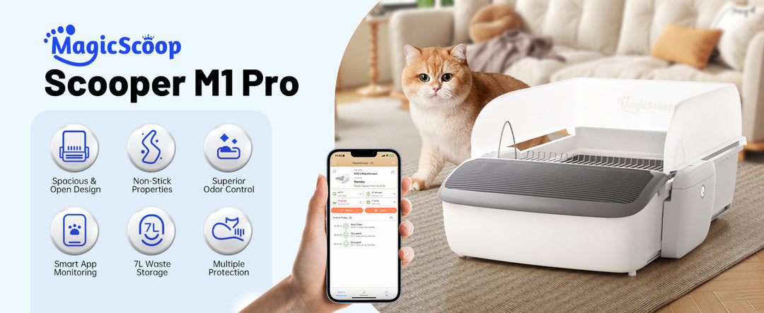 Why you need a magicscoop self cleaning litter box?