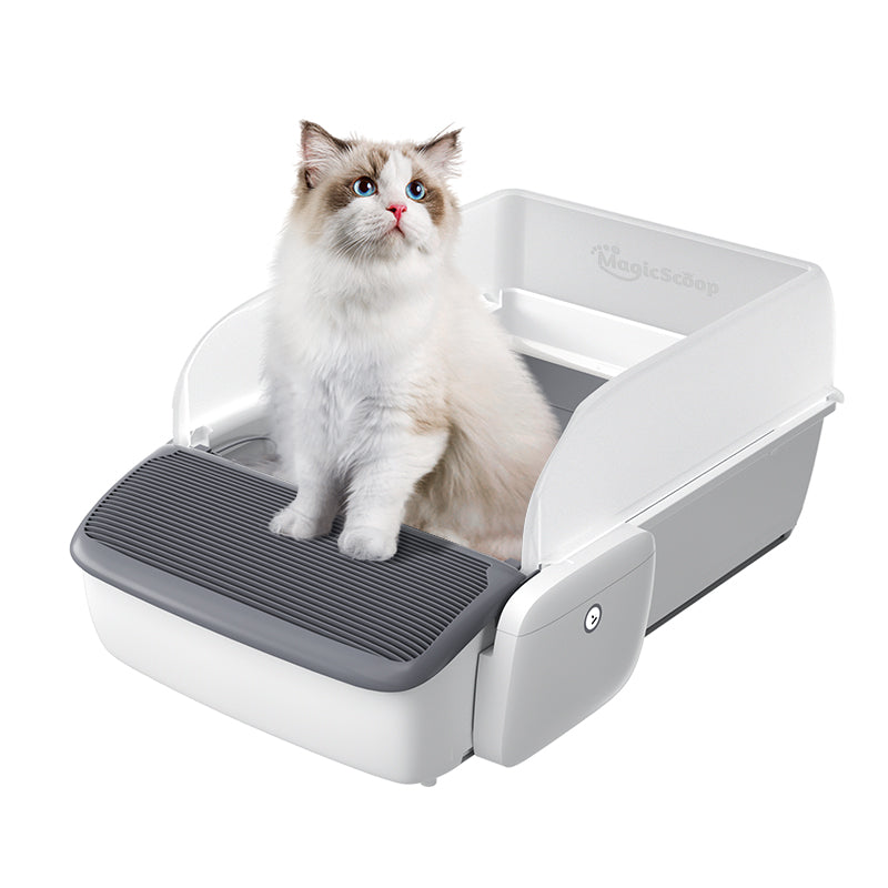 Cat Litter Box